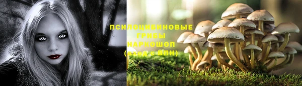 дмт Каменск-Шахтинский
