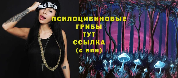 дмт Каменск-Шахтинский
