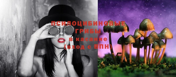 кокаин премиум Каменка