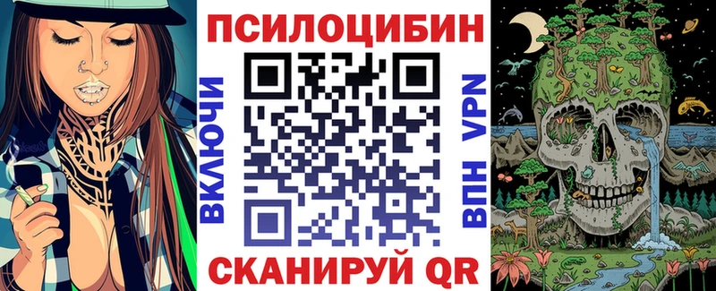 Купить Татарск Галлюциногенные грибы Psilocybine cubensis
